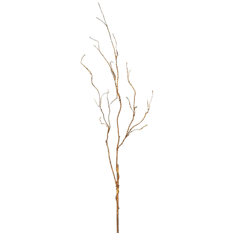 Twig Branch