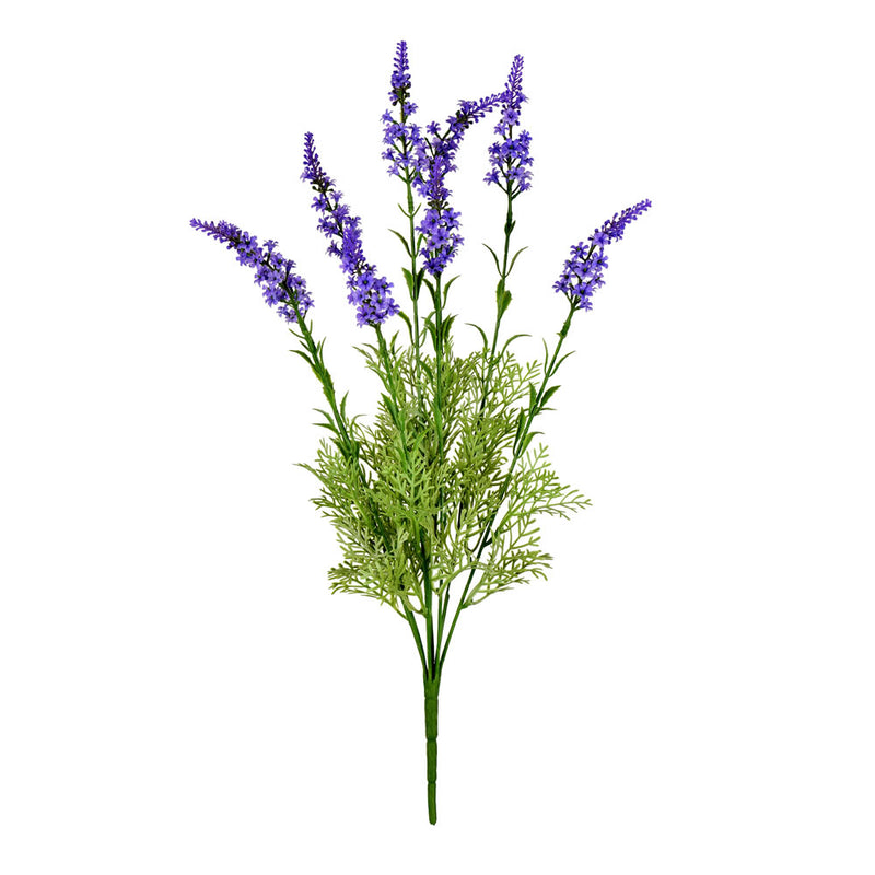 Lavender Bush