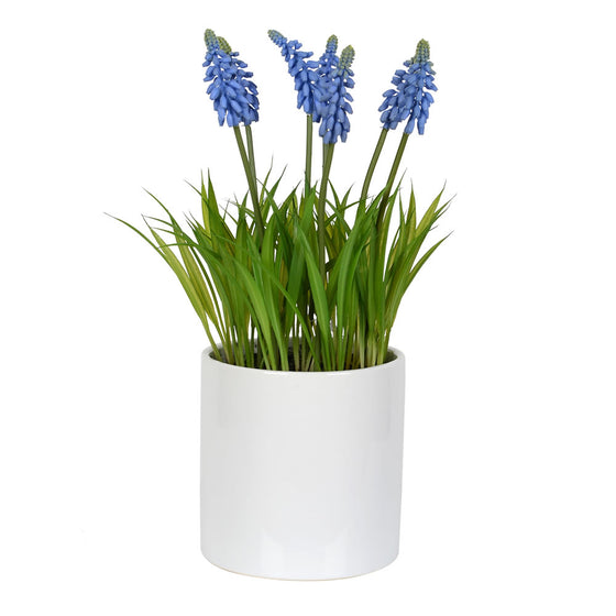 13.5" Hyacinth Flower in Ceramic Pot