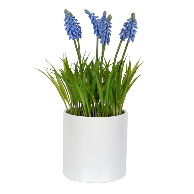 13.5" Hyacinth Flower in Ceramic Pot