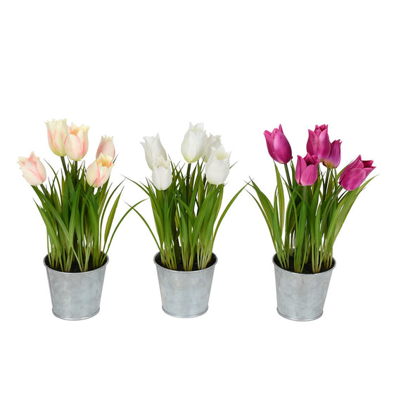 10.5" Asst Tulip in Metal Pot 3/set