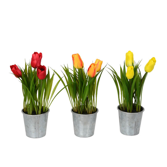 9.5" Asst Tulip in Metal Pot 3/set