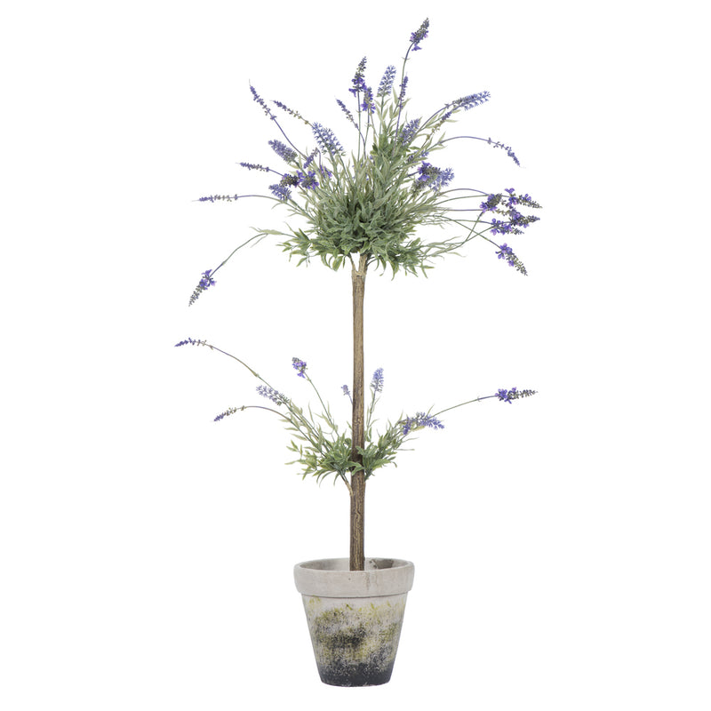 Lavender in Cement Pot