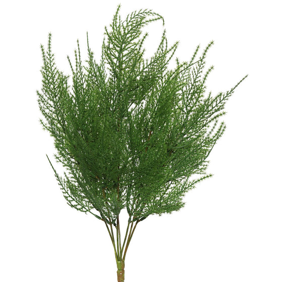 19.5" Green Asparagus Bush