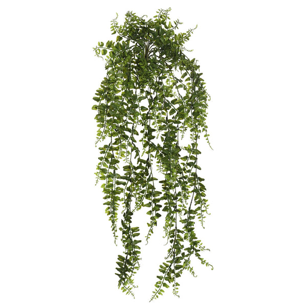 30" Green Bucler Fern Vine