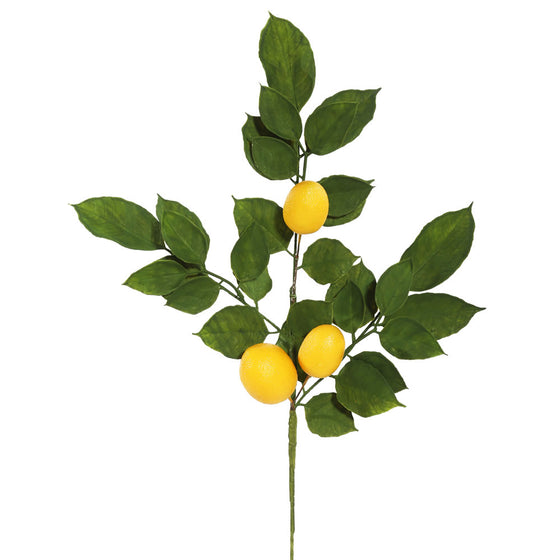 Salal Leaf/Lemon Spray