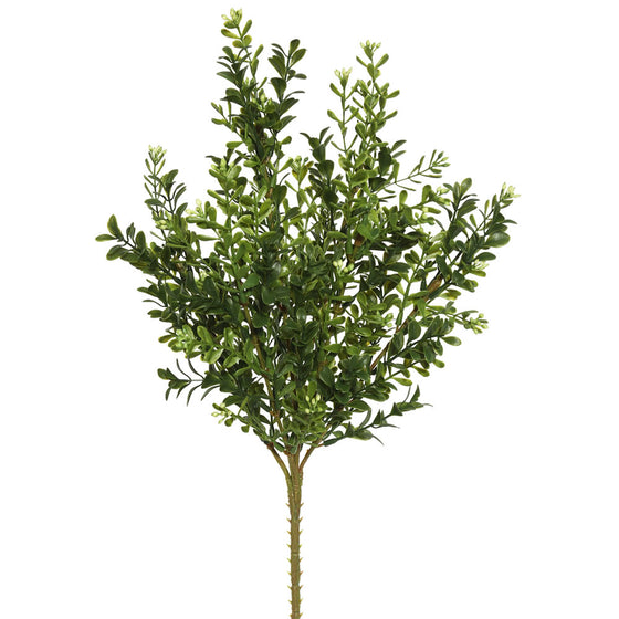 18" Green Boxwood Bush 3/pk