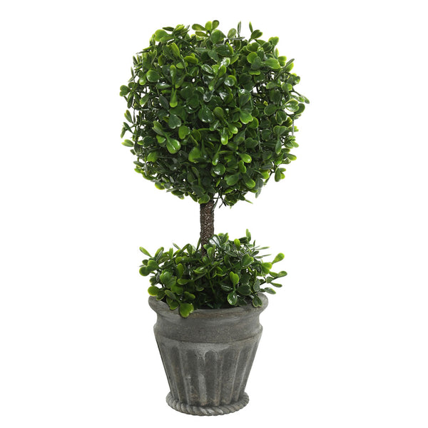 Boxwood Topairy