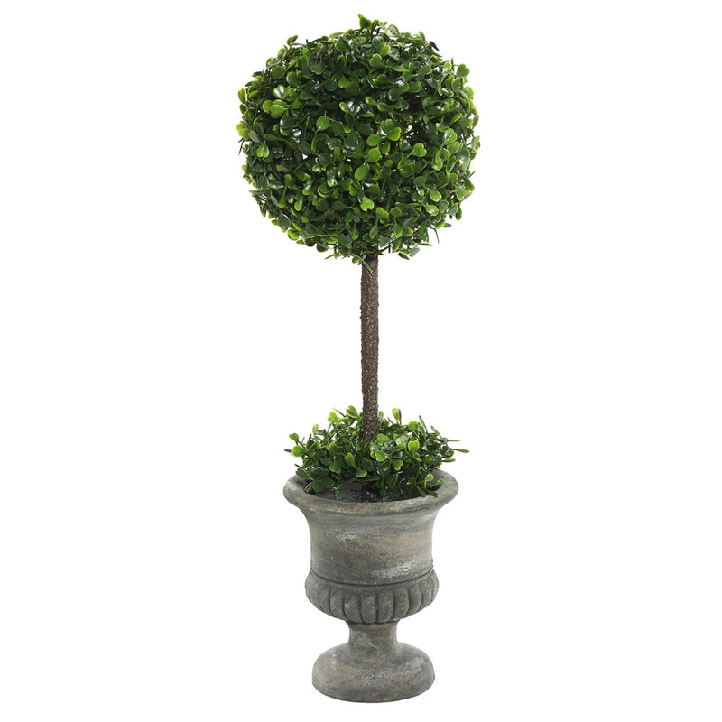 Boxwood Topairy