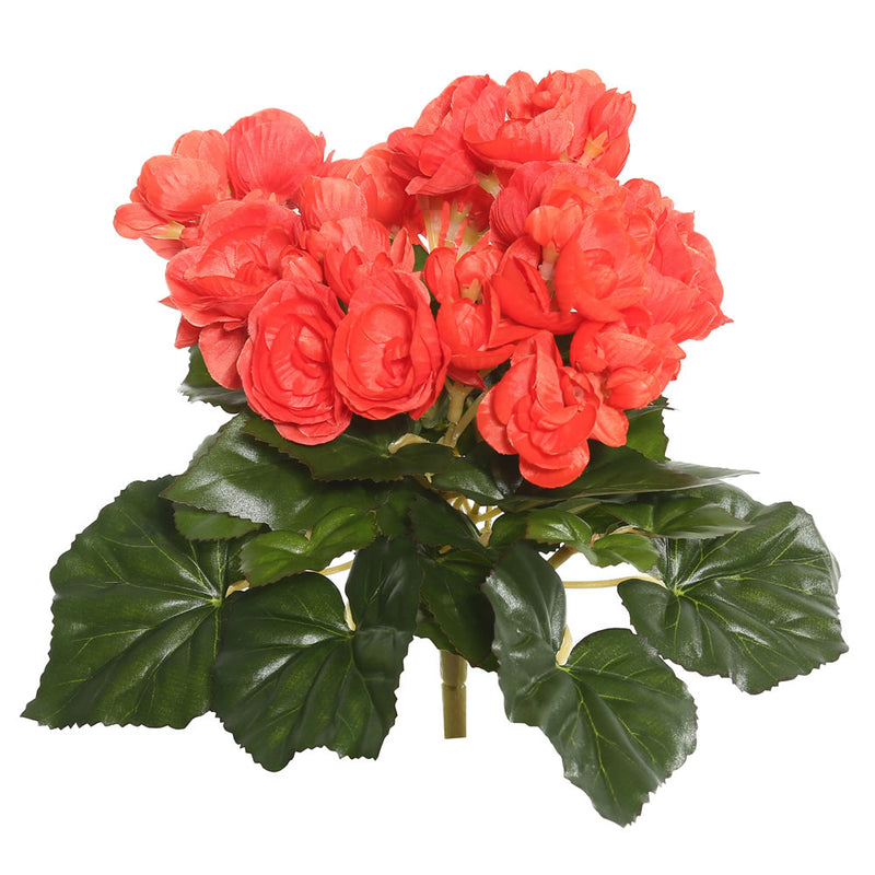 9.5" Begonia Bush