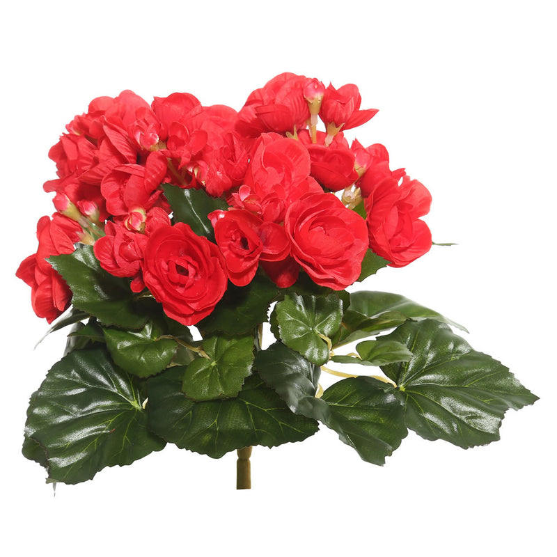 9.5" Begonia Bush