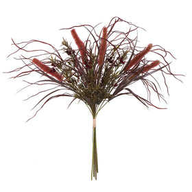 Euphoria Onion Grass Bush