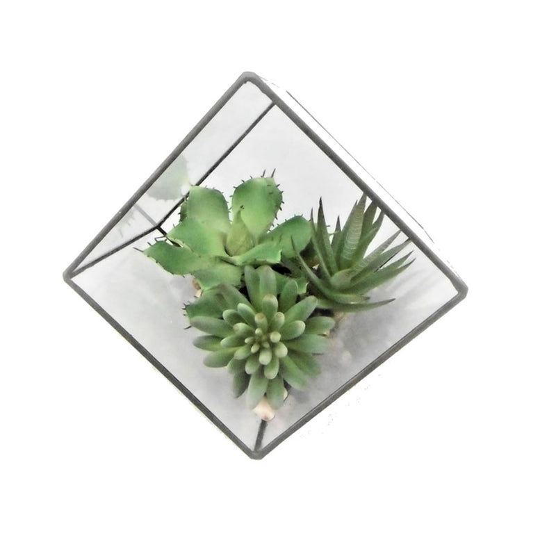 Succulent Arrangement