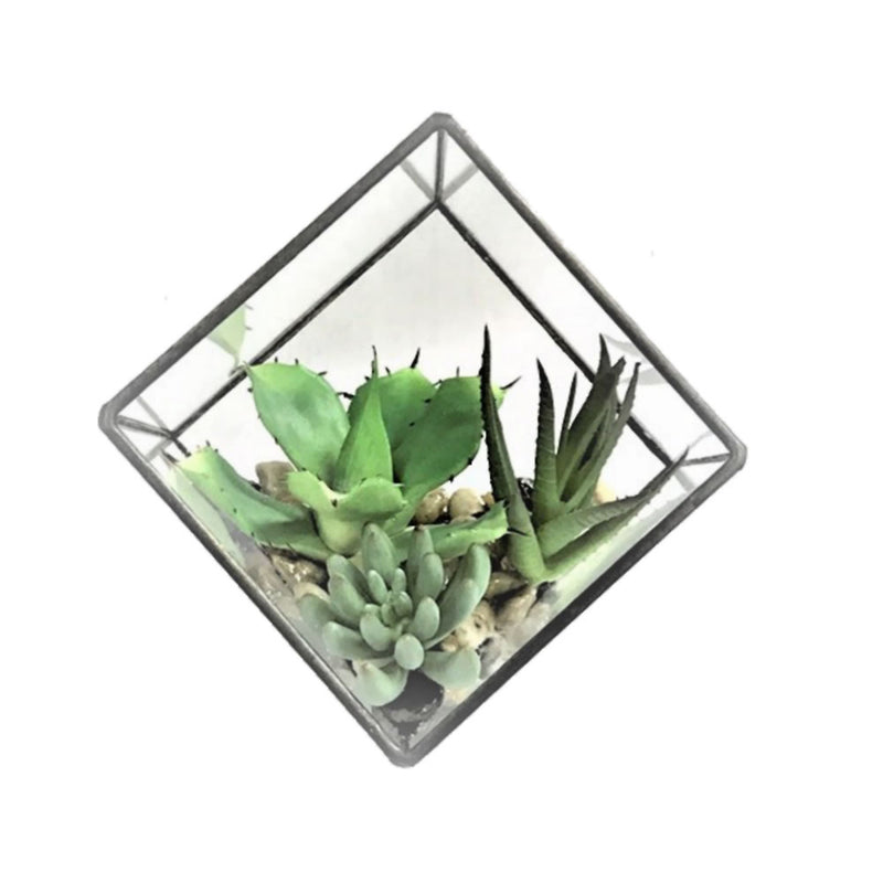 Succulent Arrangement