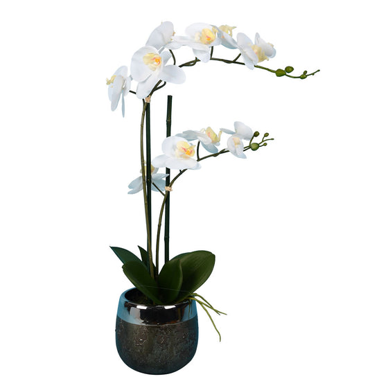 23" White Phalaenopsis in Metal Pot RT