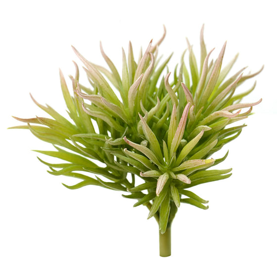 7" Green Crassula Tetragona Pick 3/Pk