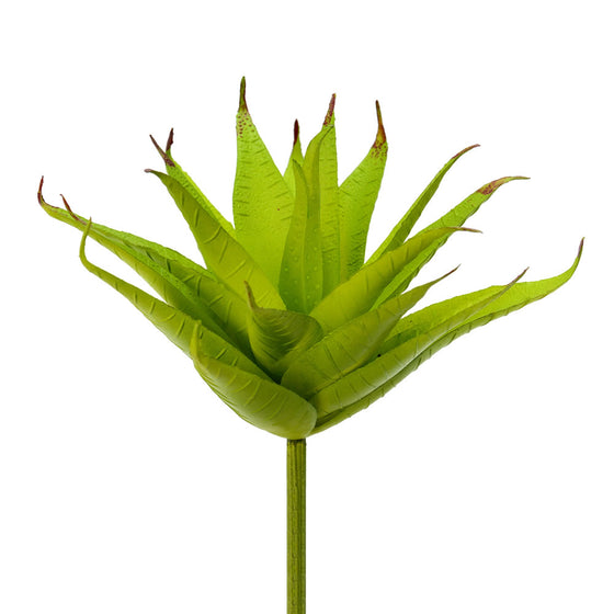 Aloe Pick