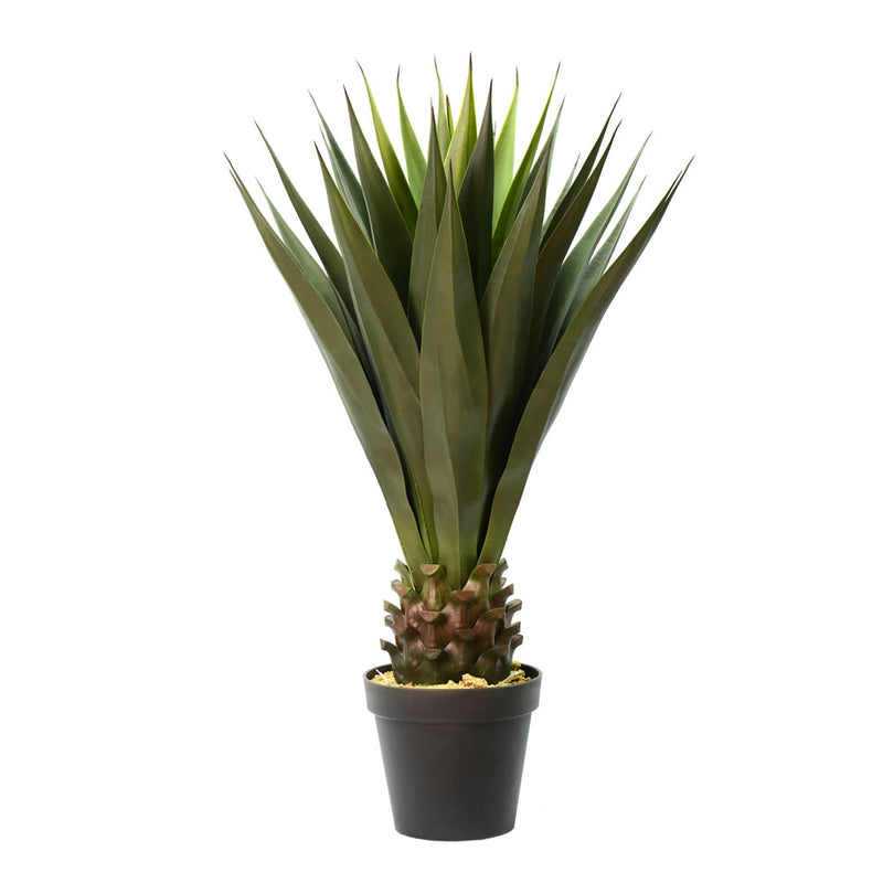 40" Potted Aloe Vera