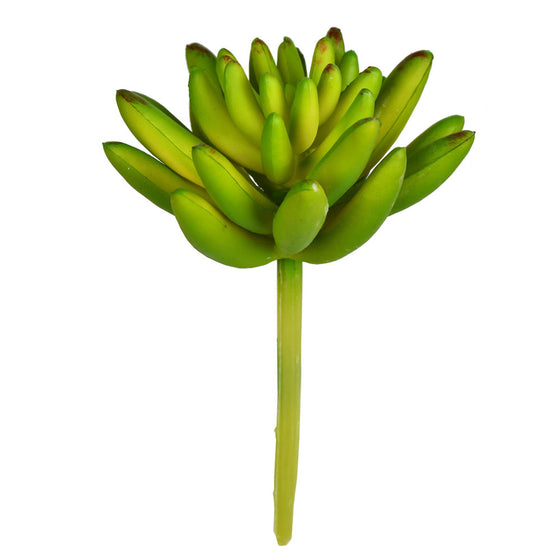 4" Green Succulent Pick 6/Pk