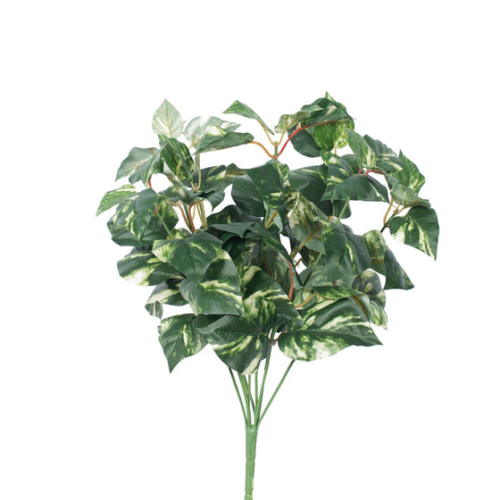 17" Pothos Leaf Bush Green/Cream