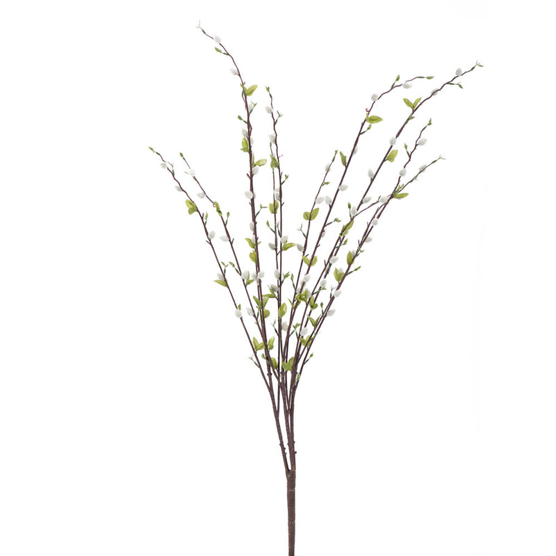 36" Gray Pussy Willow Bush