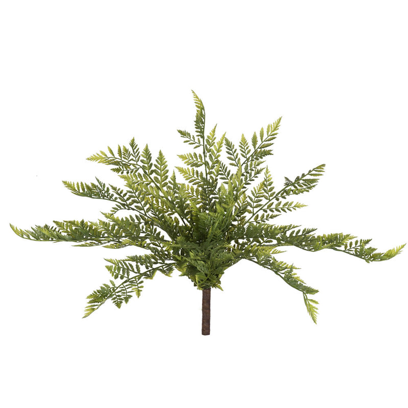 17" Green Rabbit Foot Fern Bush 2/Pk