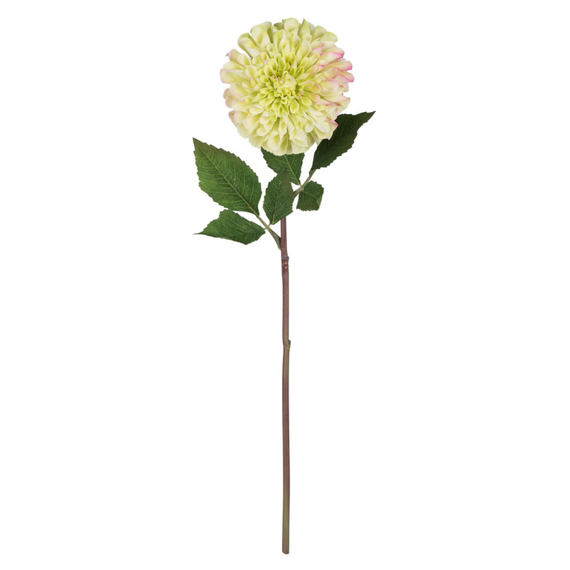 24" Zinnia Stem