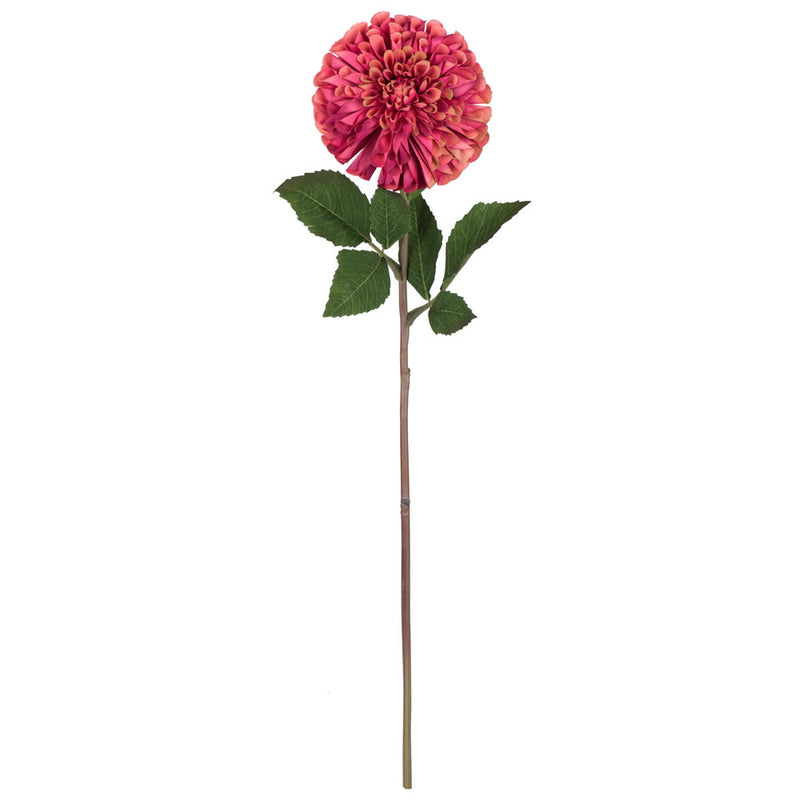 24" Zinnia Stem