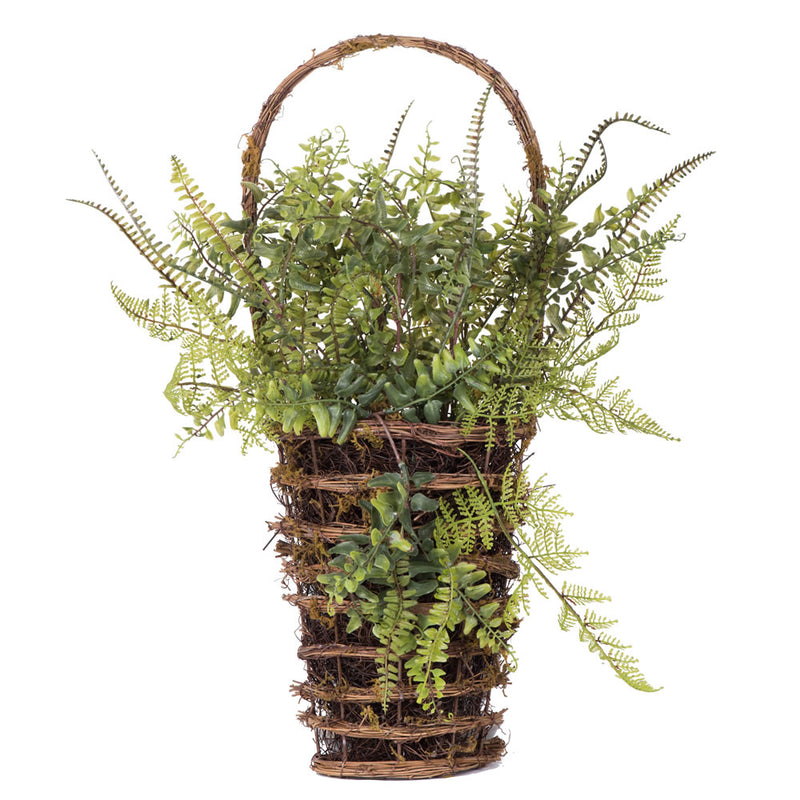 21" Green Fern in Hanging Wall Basket