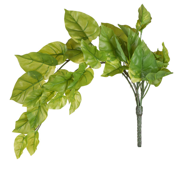 24" Green Pothos Bush Vine 2/Pk