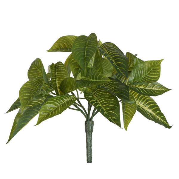 11" Green Zebra Bush 3/Pk