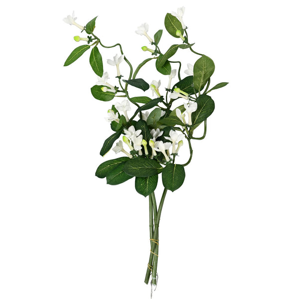 25" White Stephanotis Vine Spray 6/pk