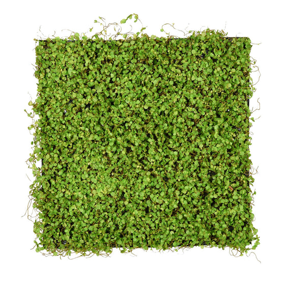 20" Green Leaves Square Mat