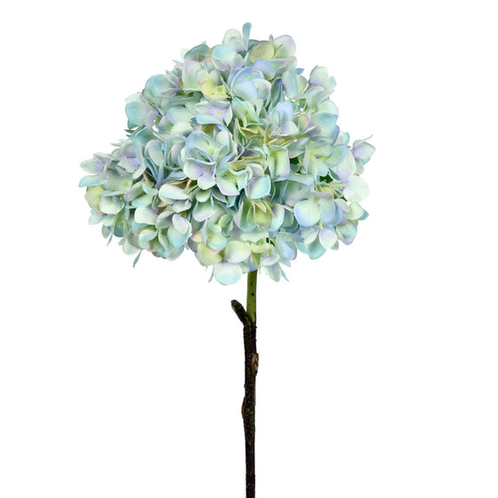 Hydrangea Spray