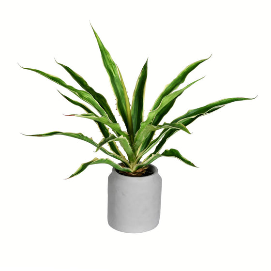 23" Potted Yucca Plant