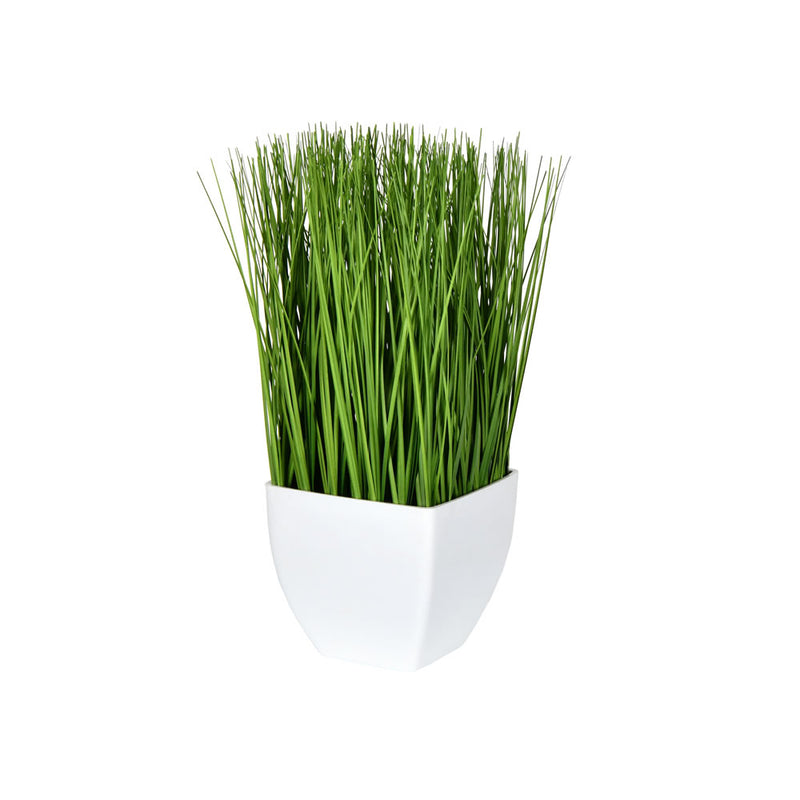 Potted Grass