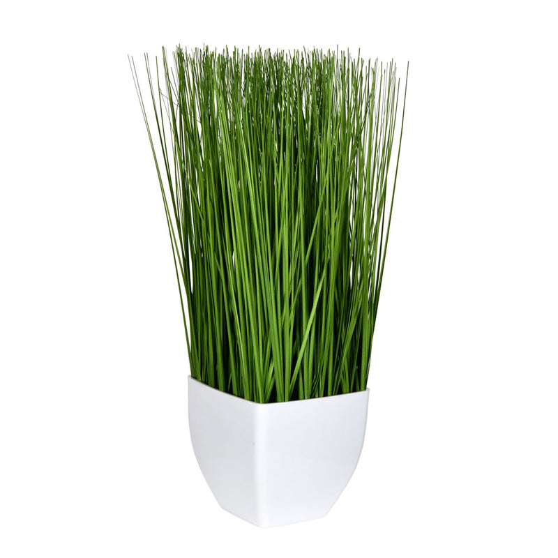 Potted Grass