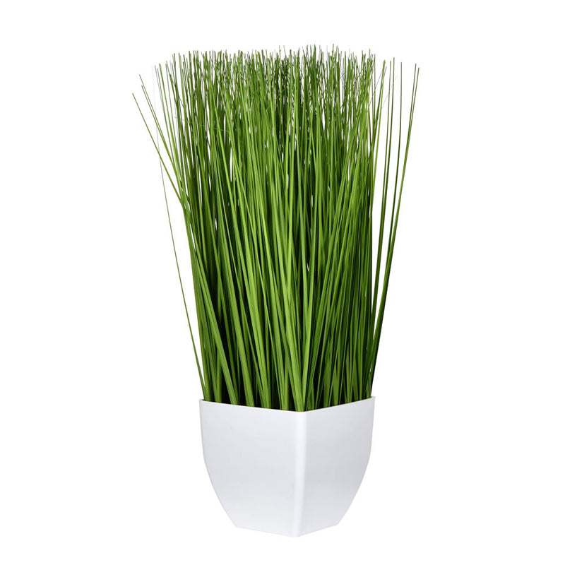 Potted Grass