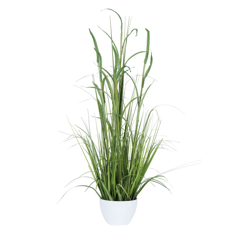 Potted Bamboo Grass