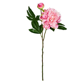 Peony Spray