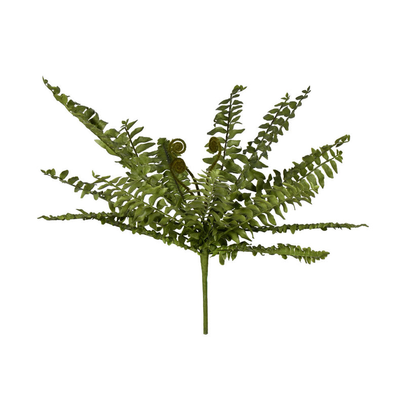 15" Green Boston Fern Bush