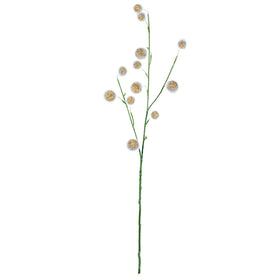 Pom Pom Spray
