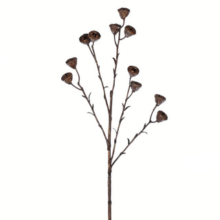 26" Brown Labill Spray 4/Pk