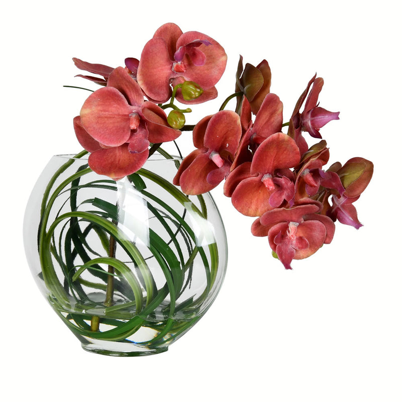 Orchid Arrangement