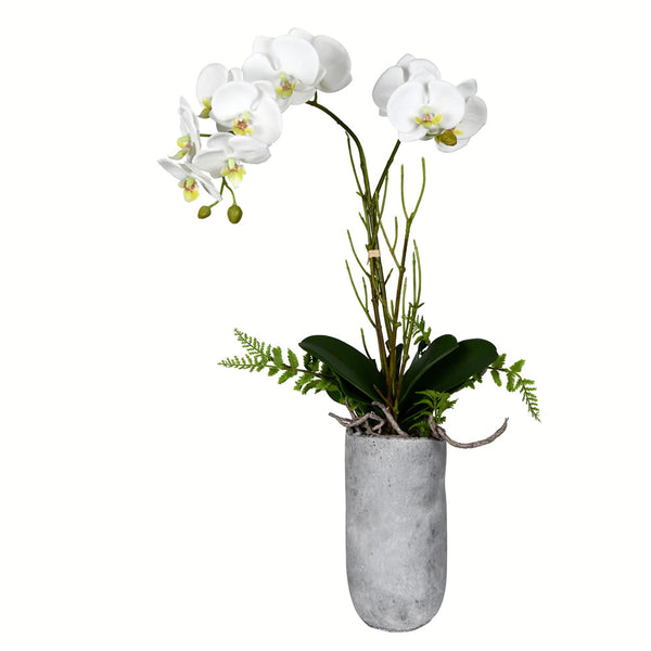 17" White Yellow Orchid In Glass Pot