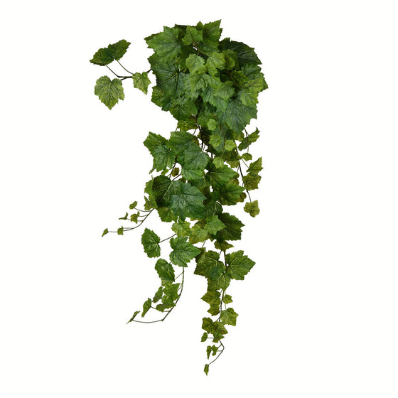 Hanging Ivy Bush