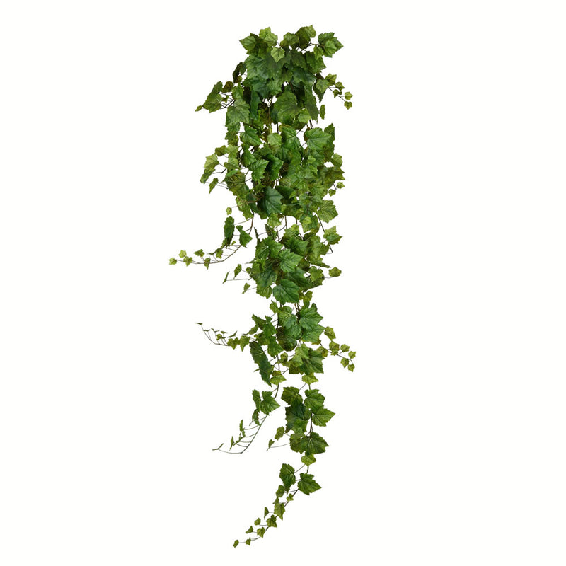 Hanging Ivy Bush