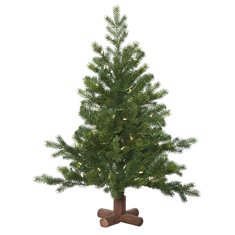 Eagle Frasier Fir