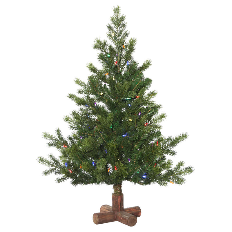 Eagle Frasier Fir