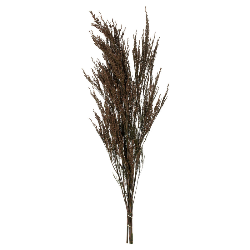 36-40" Green Reed Grass Bundle